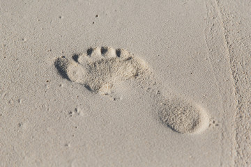 human footprint on beach sand