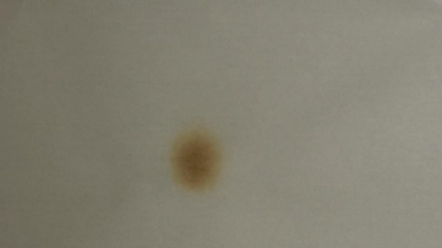 Paper burning in slow motion