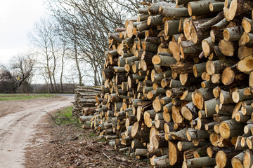 image of chopped wood and road