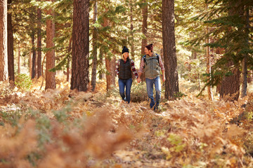 Naklejka na ściany i meble Couple holding hands walking in a forest, California, USA