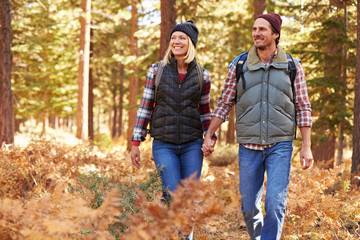 Couple holding hands walking in a forest, California, USA