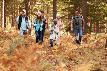 Multi generation family hiking in a forest, California, USA