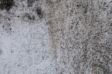 old concrete wall.