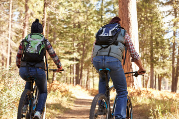 Couple mountain biking through forest, back view