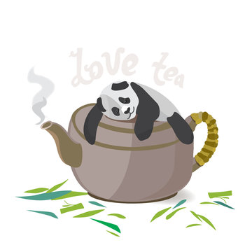 Panda bear vector illustration. Funny Panda lies on a clay Chinese teapot. Tea ceremony. Funny good illustration of a Panda. Green tea.