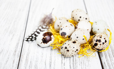 quail eggs in nest