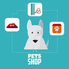 Pet shop and dog  design, Vector illustration