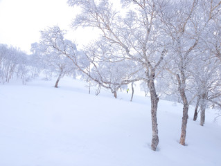 Niseko Ski Resorts in Hokkaido	
