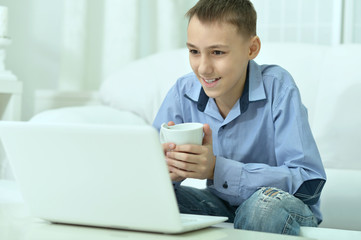 Young boy and  laptop computer