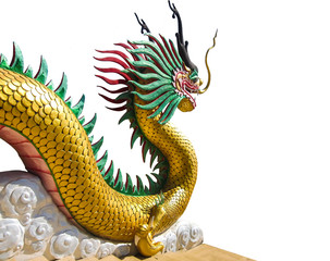 Fototapeta premium Chinese dragon on isolate background
