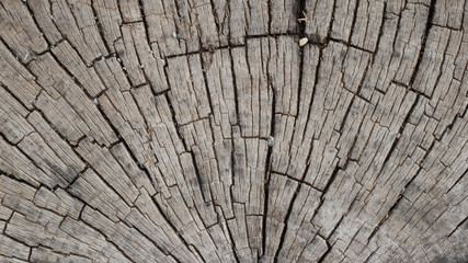 Macro wood texture on old city pavement