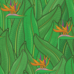 Fototapeta na wymiar Heliconia multicolor bright seamless pattern. Tropical jungle ba
