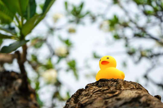 yellow duck doll on the tree