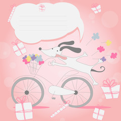 Funny little white puppy on Bicycle