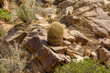Apache Lake Landscapes Arizona.