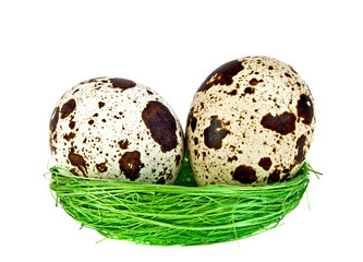 Obraz premium Quail eggs in a green nest on white background