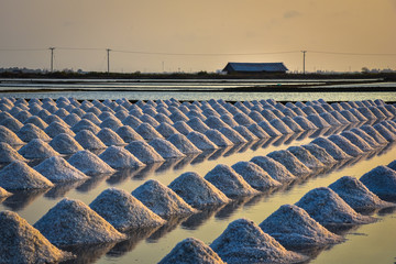 the salt field in thailand