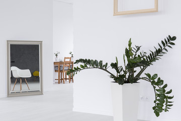 Space for relax and living