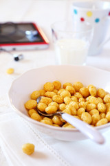 Сorn flakes in bowl and  milk