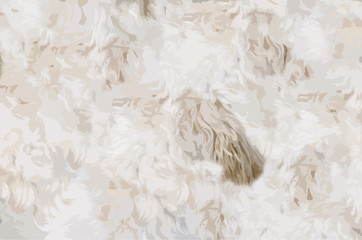 Dog pelt
