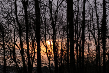campaign in the sunset