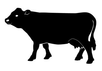 Silhouette noire de vache sur fond blanc - Logo pour boucherie ou charcuterie