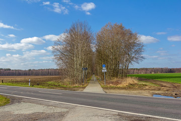 Fototapeta premium Radweg