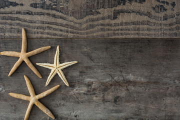 Starfish on a rustic wood background
