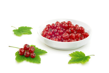 Red currant and bowl