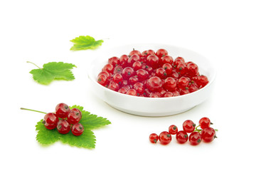 Red currant and bowl
