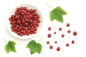 Red currant and bowl