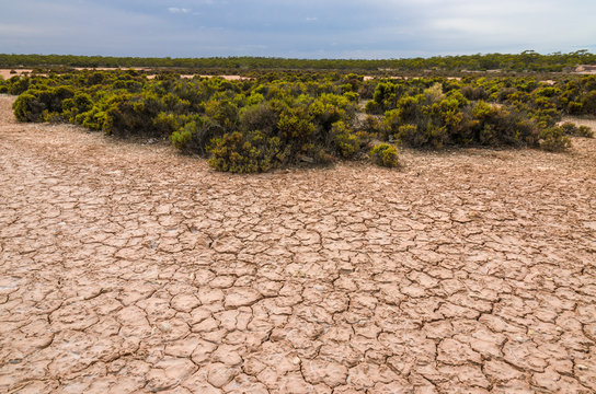 Drought Disaster Concept Cracked Soil Dry Lake Australian Outbac