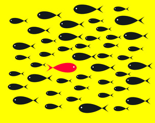 Red Fish swim opposite upstream the ton of black fish on yellow