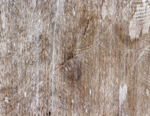wood texture. background old panels