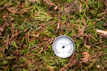 Thermometer in the compost pile showing high temperature of the