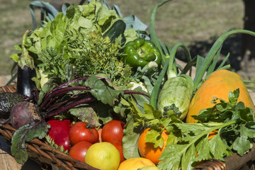 Cesta de verdura ecologica 