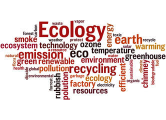 Obraz premium Ecology, word cloud concept 5