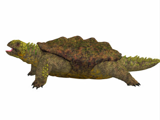 Naklejka premium Proganochelys Side Profile - Proganochelys is the second oldest turtle species discovered and lived in Germany and Thailand in the Triassic Period.
