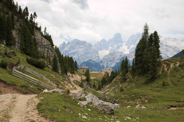 sentieri a Prato Piazza. Sullo sfondo il monte Cristallo (Dolomiti)