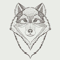 Wolf head illustration
