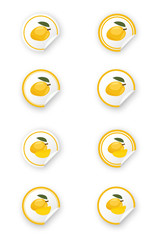 Round stickers with a tropical mango fruit.