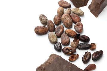 raw cacao beans, roasted cacao beans and chocolate