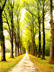 alley in the park (15)