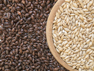 Beer ingredients, Pale ale malt and Chocolate malt on wooden background