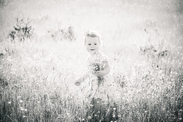 Small child playing alone in spring or summer sunny meadow full of yellow flowers. Allergy free baby enjoying nature. Black and white picture.