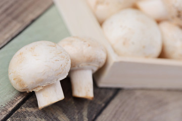 Champignons
