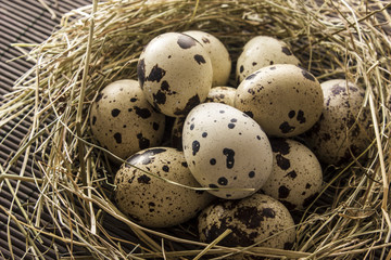 Obraz premium Quail eggs in a nest of hay on the table