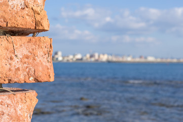 Scogliere di Castiglioncello.