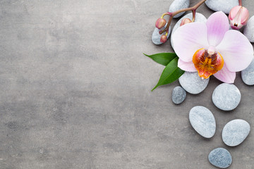Obraz na płótnie Canvas Spa orchid theme objects on grey background.