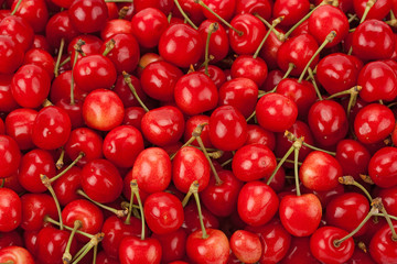 Background of ripe cherries.